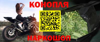 шишки Сибай