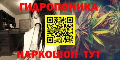 гашик Сертолово