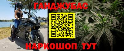 шишки Сибай