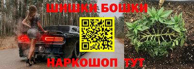 гашик Сертолово